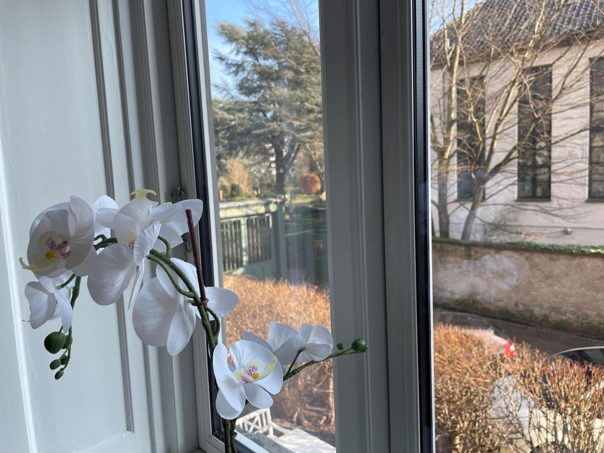 Apartment Stylish With Prime Location In Osterbro Copenhagen